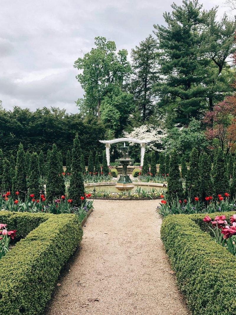 Maple Bloom Garden Co.
