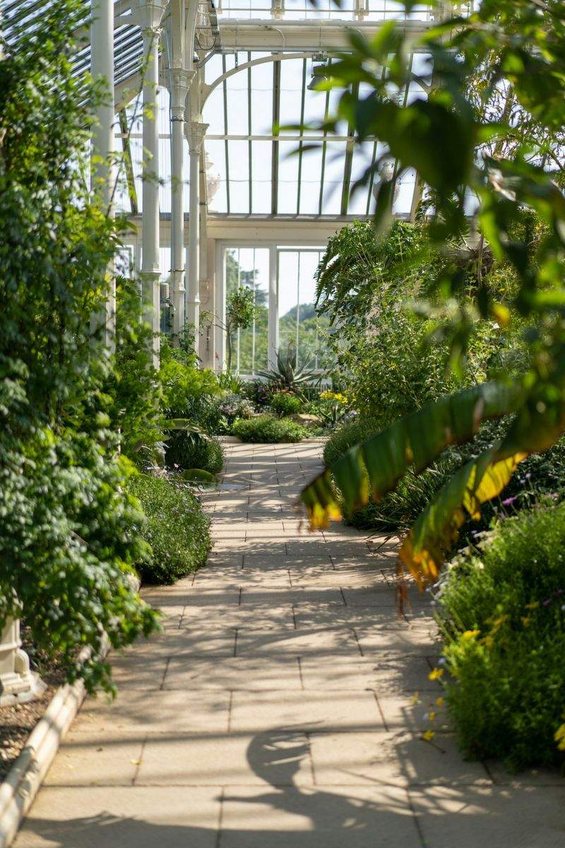 How to Choose Plants That Fit Your Space