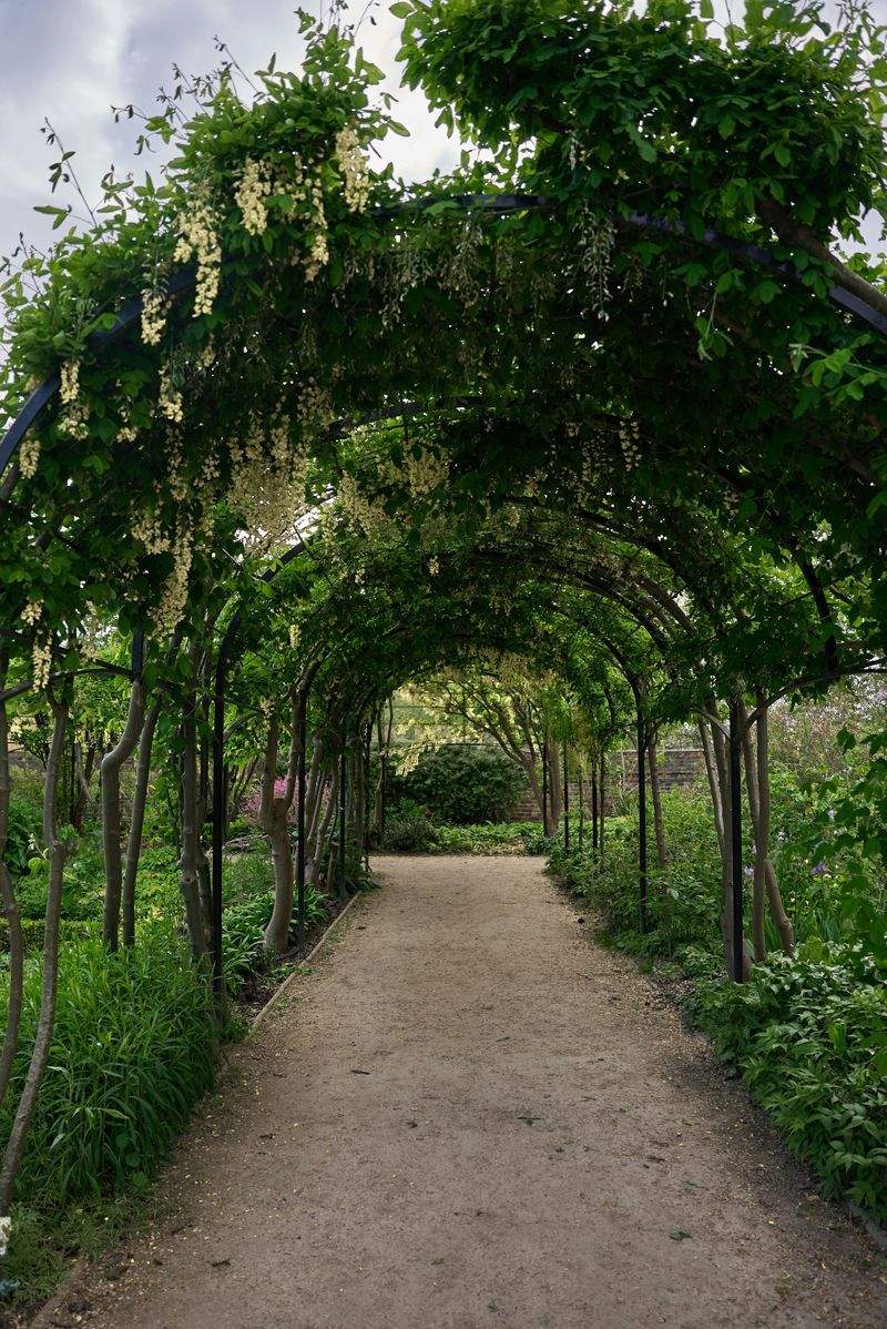 Maple Bloom Garden Co. 10